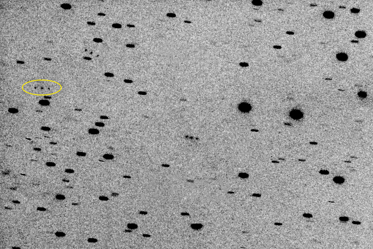 The discovery image of the main belt asteroid (410928 Maidbronn) in full size